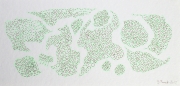 Rhizomes