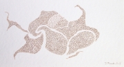 Rhizomes