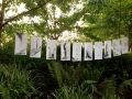 solstice-ete-poesie_22.jpg