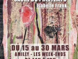 Amilly (45)